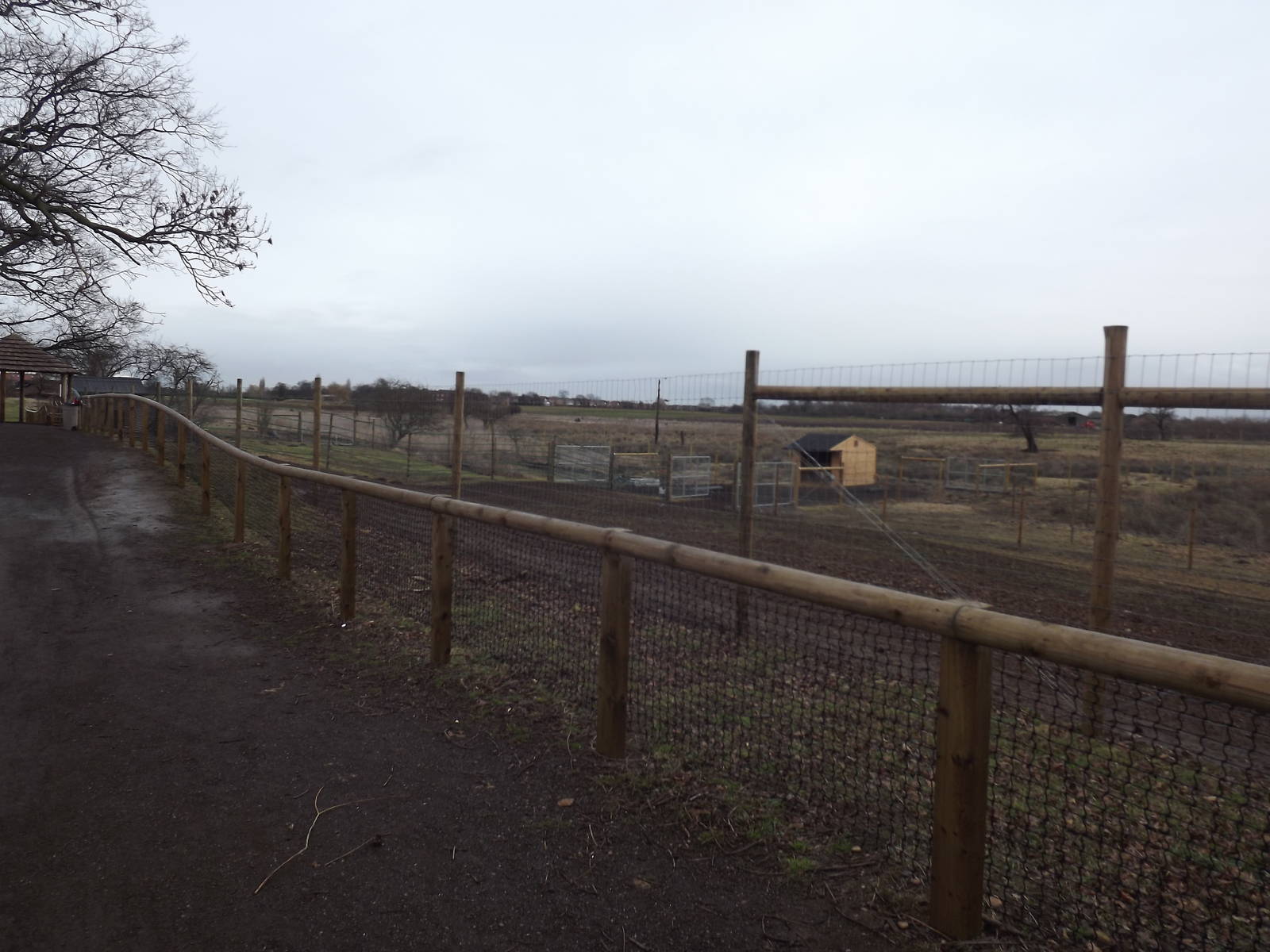 Sitatunga enclosure at Yorkshire Wildlife Park 18/02/12
