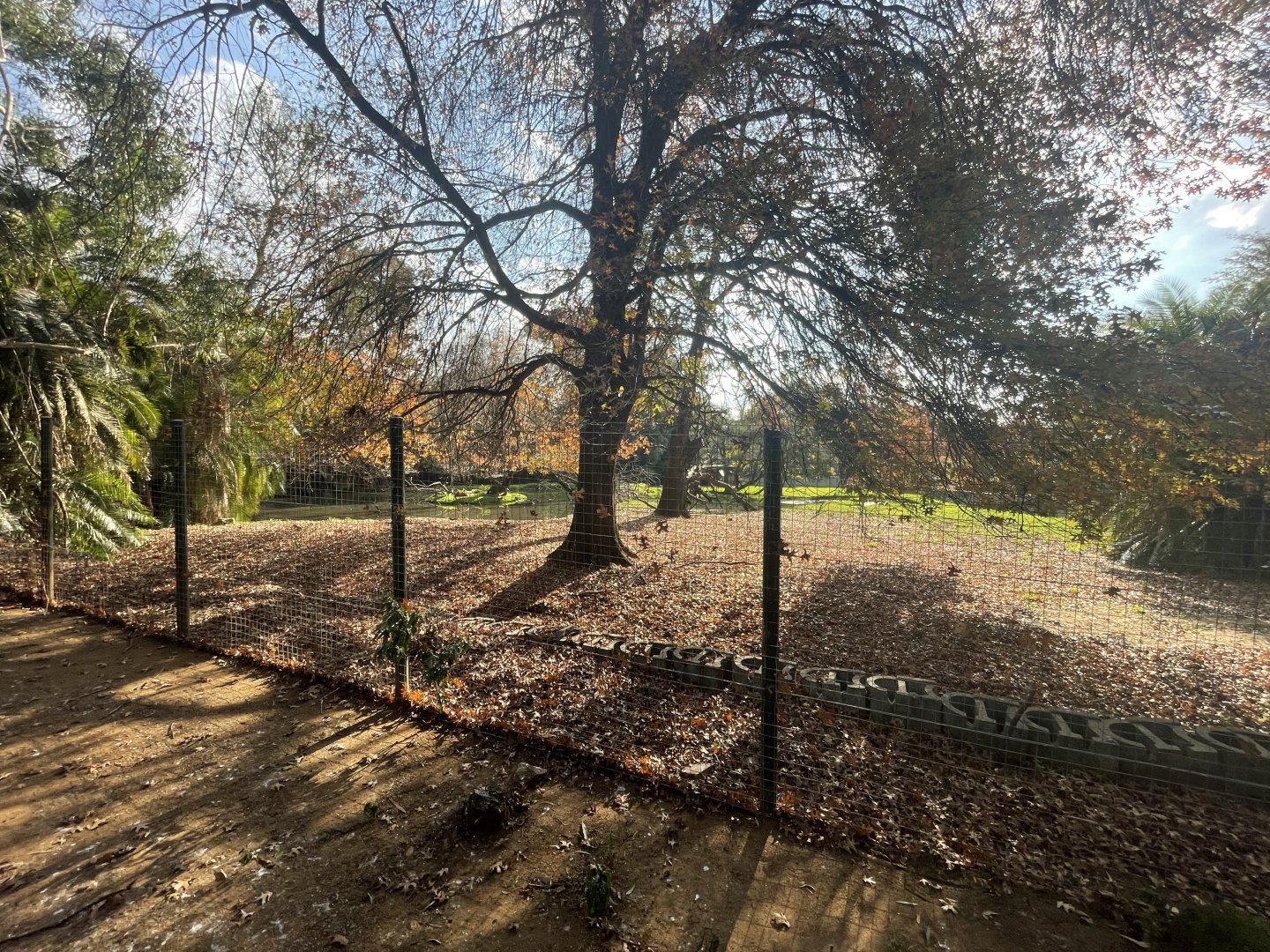 Sitatunga Enclosure (Tragelaphus spekii)