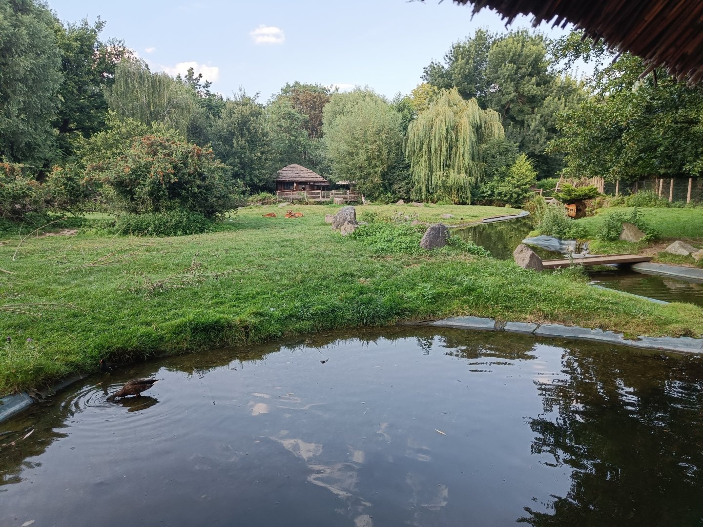 Sitatunga enclosure - Water World and Monkey Islands