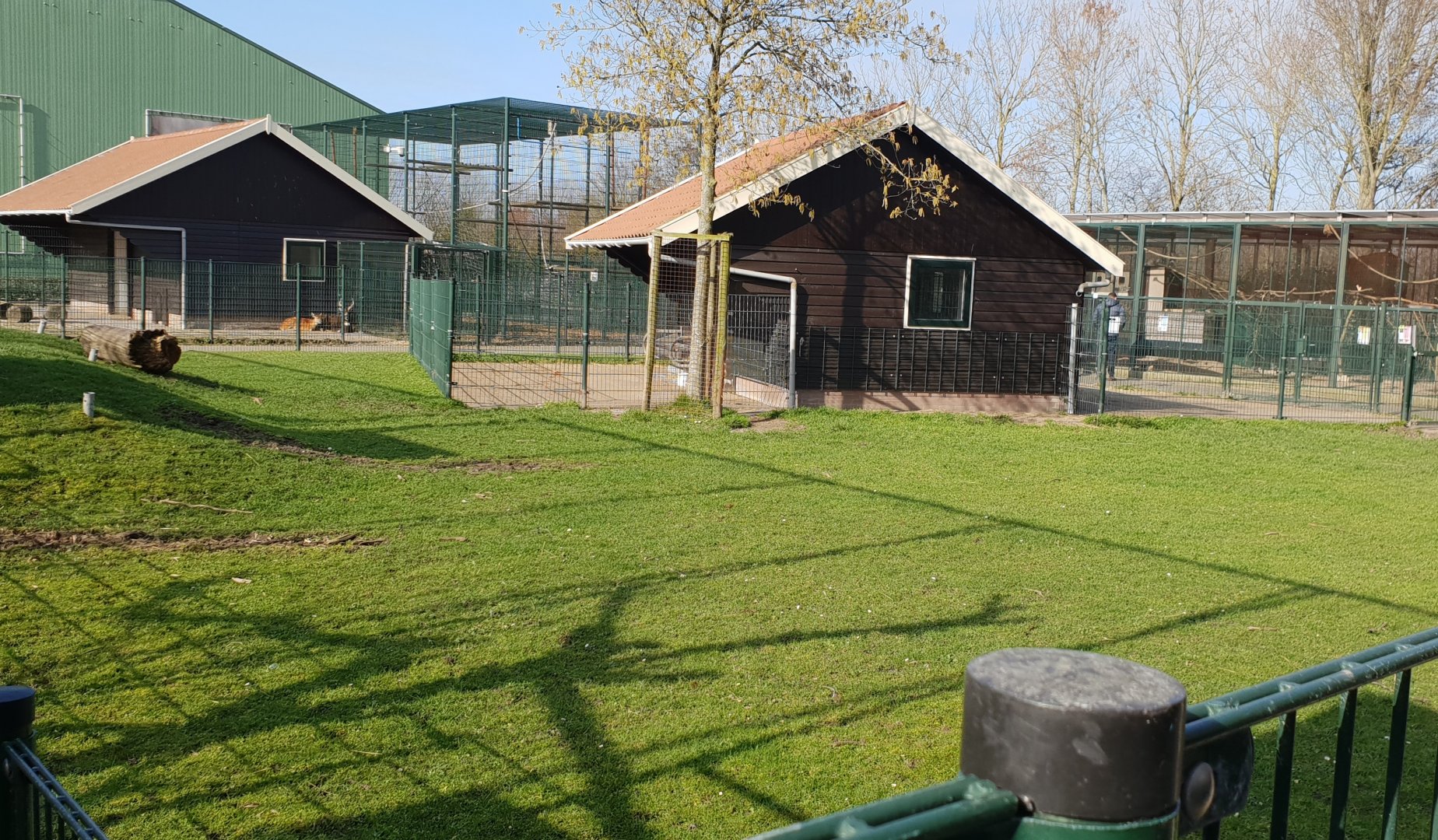 Sitatunga enclosure