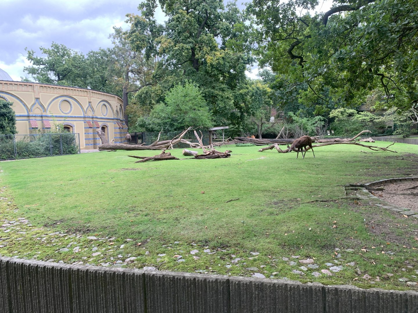 Sitatunga enclosure
