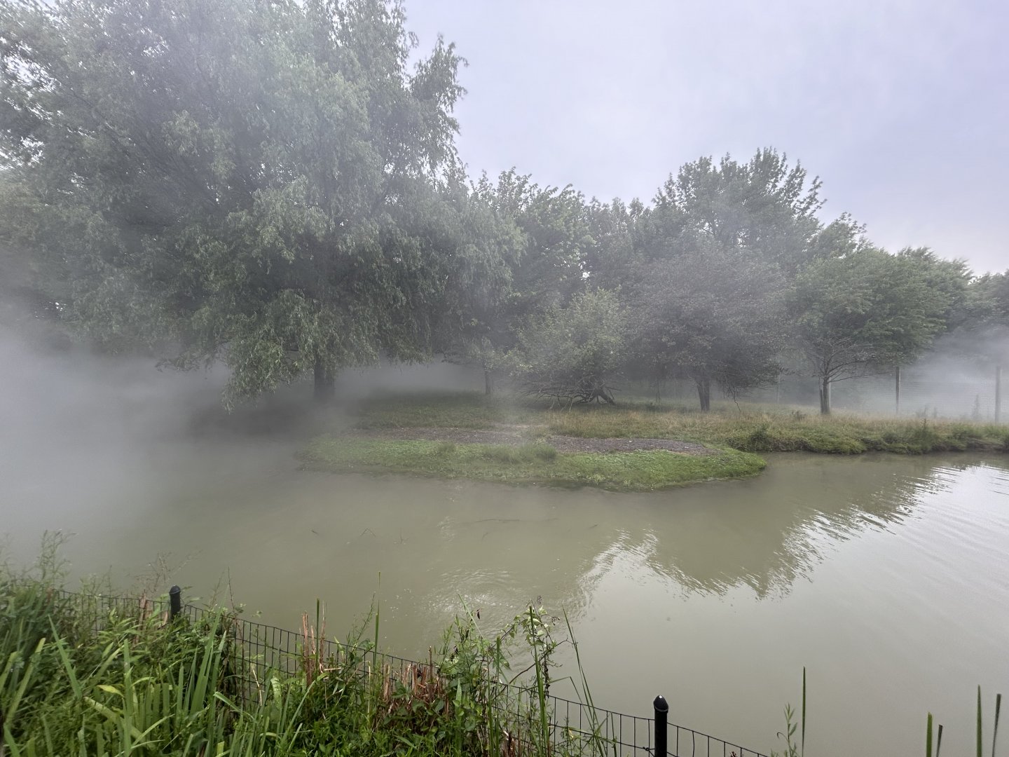 Sitatunga Exhibit - African Journey