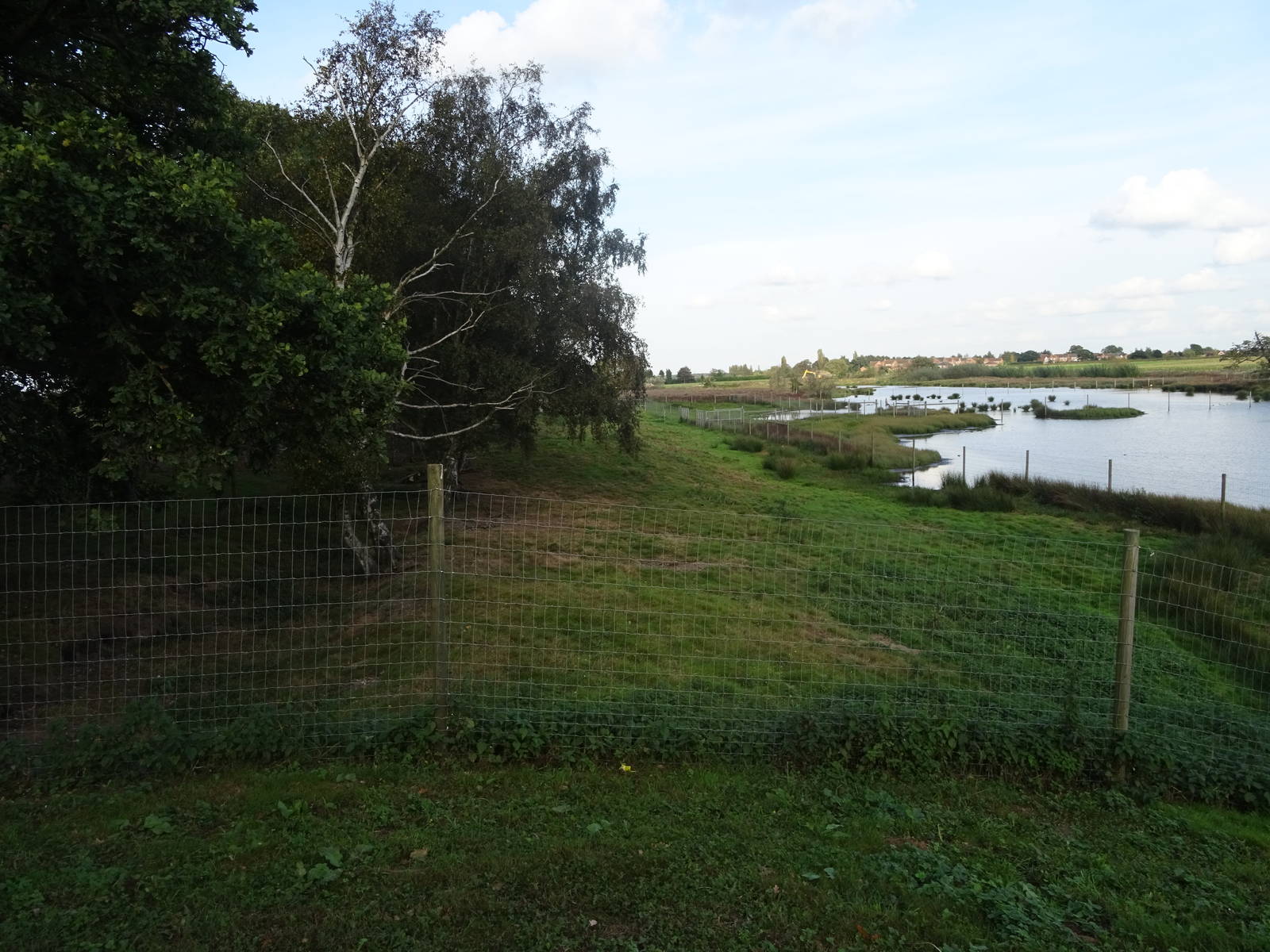 Sitatunga Exhibit at Yorkshire Wildlife Park