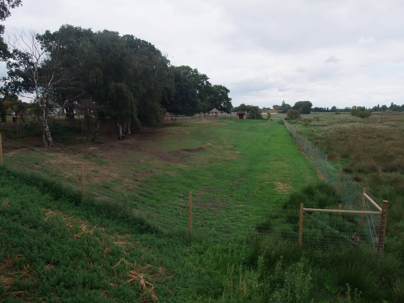 Sitatunga Exhibit at Yorkshire WP, 07/08/11