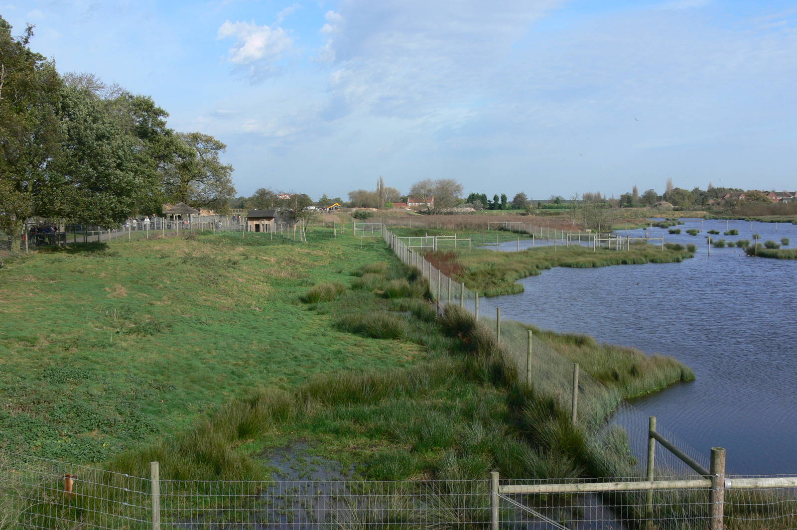 Sitatunga Exhibit at Yorkshire WP, 28/10/14