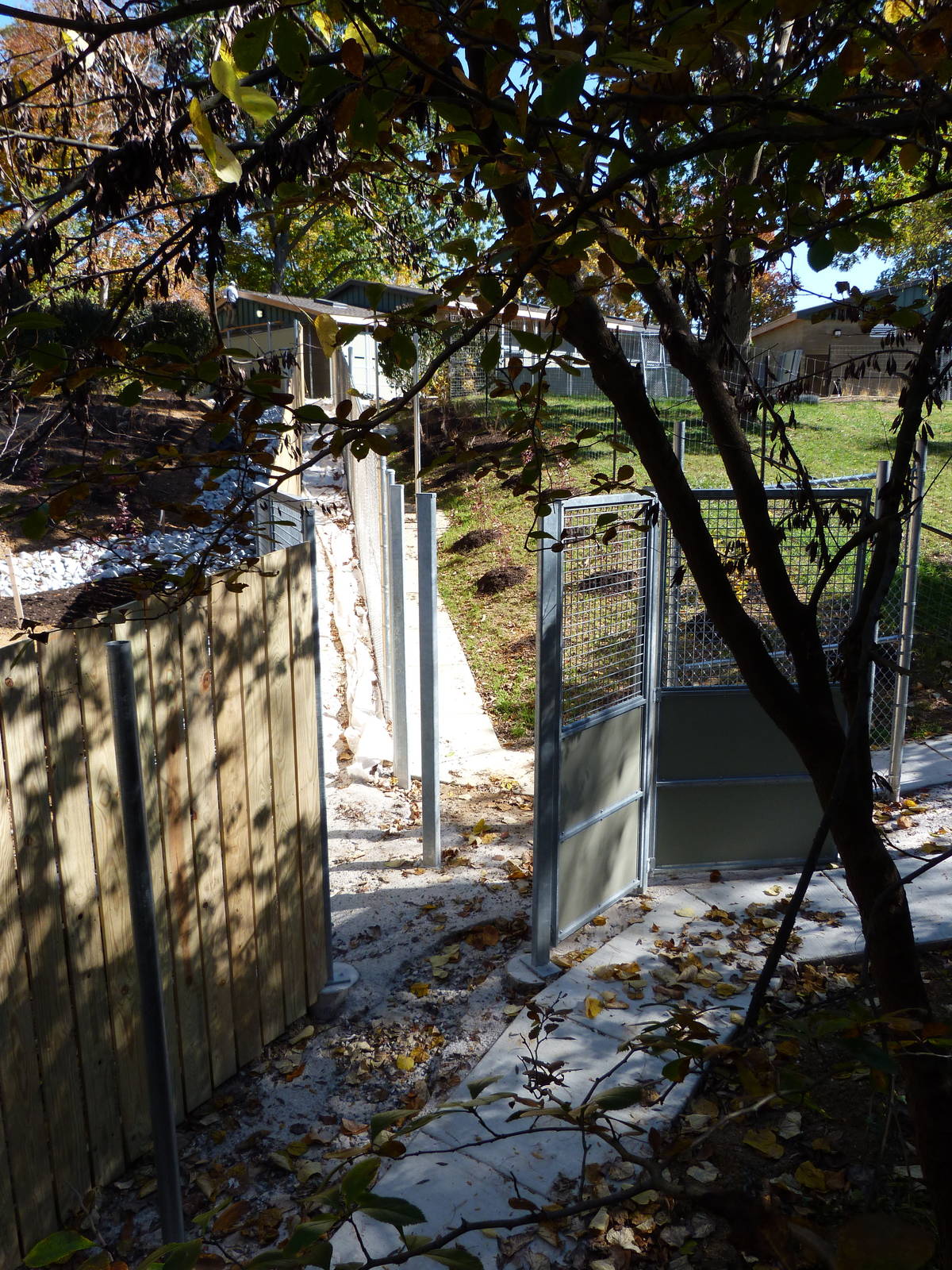 Sitatunga Exhibit Construction 10-22-12