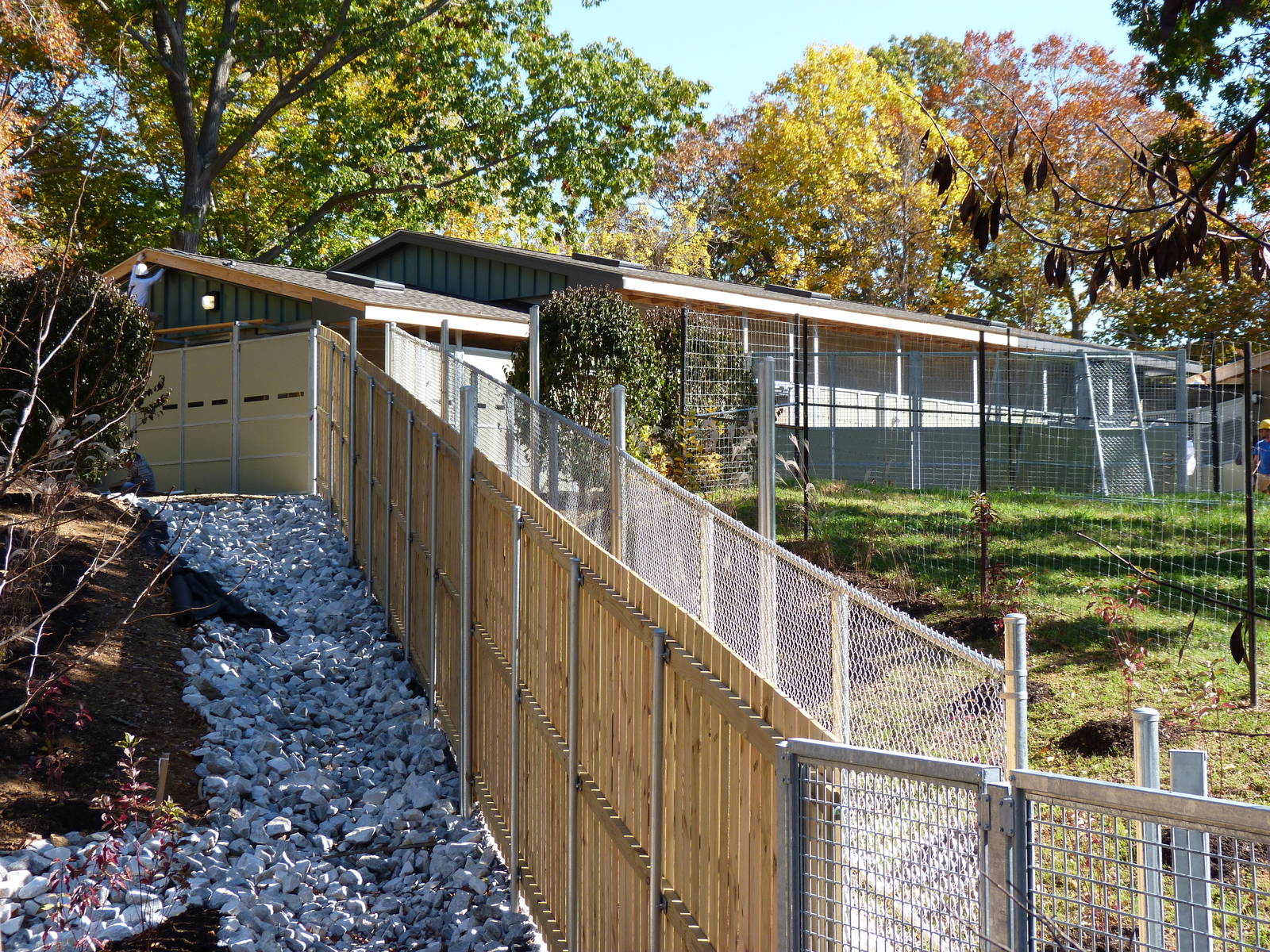 Sitatunga Exhibit Construction 10-22-12