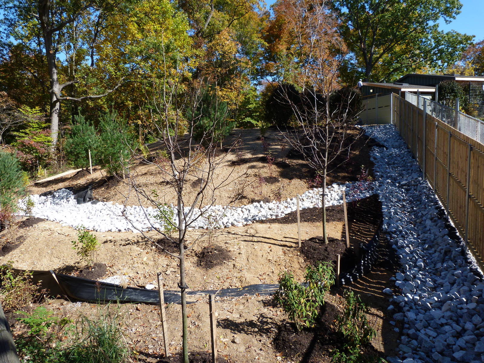 Sitatunga Exhibit Construction 10-22-12