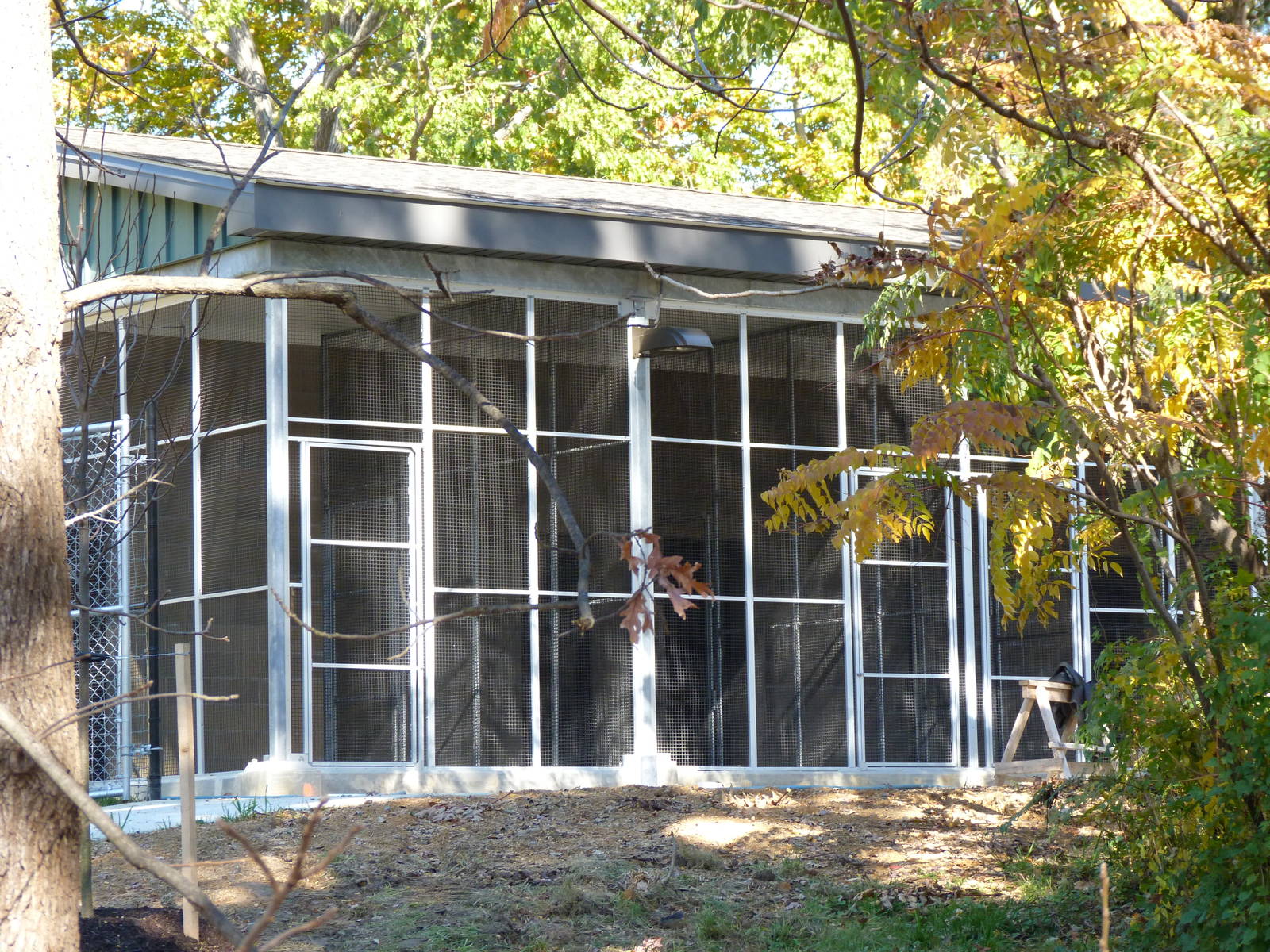 Sitatunga Exhibit Construction 10-22-12