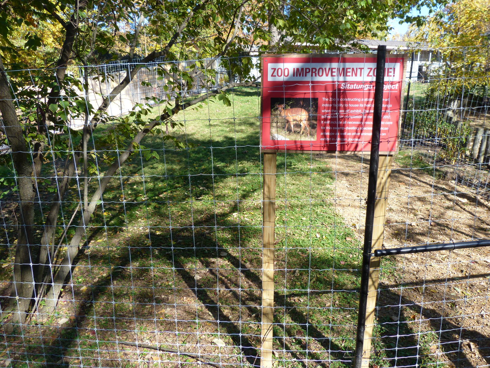 Sitatunga Exhibit Construction 10-22-12