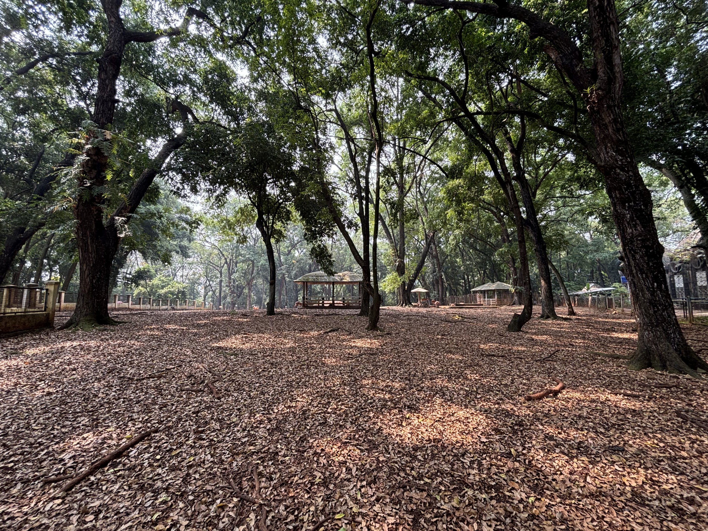 Sitatunga Exhibit - enormous!