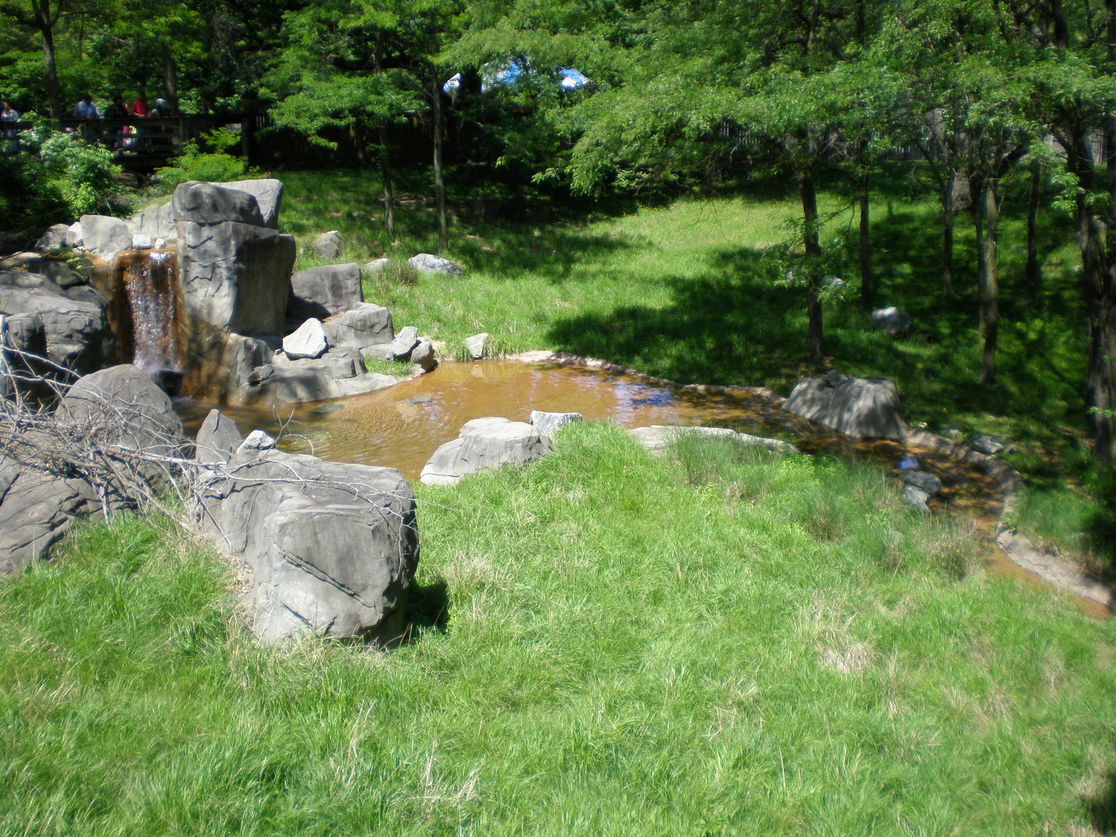 Sitatunga exhibit- Maryland Zoo MAY08