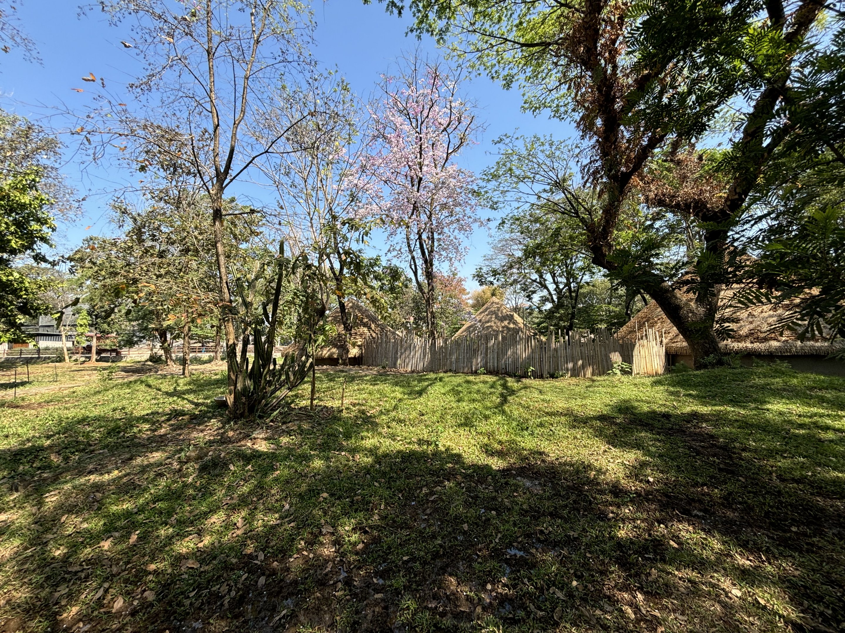 Sitatunga Exhibit - Solo Safari