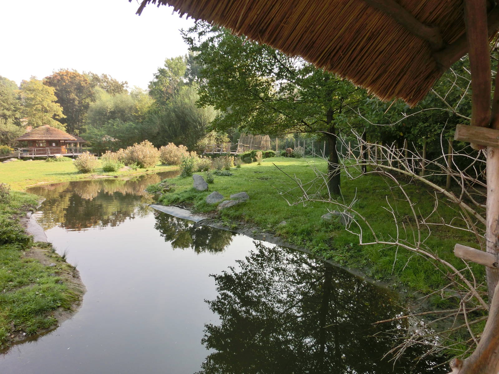 sitatunga exhibit - Zoo Praha