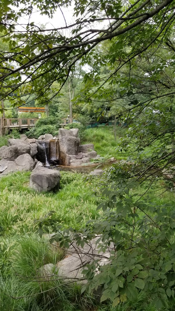 Sitatunga exhibit