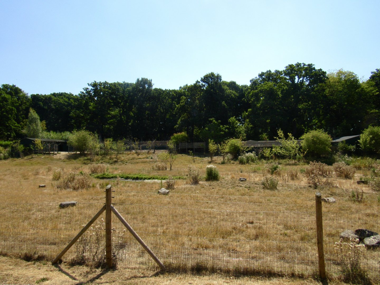 Sitatunga Exhibit