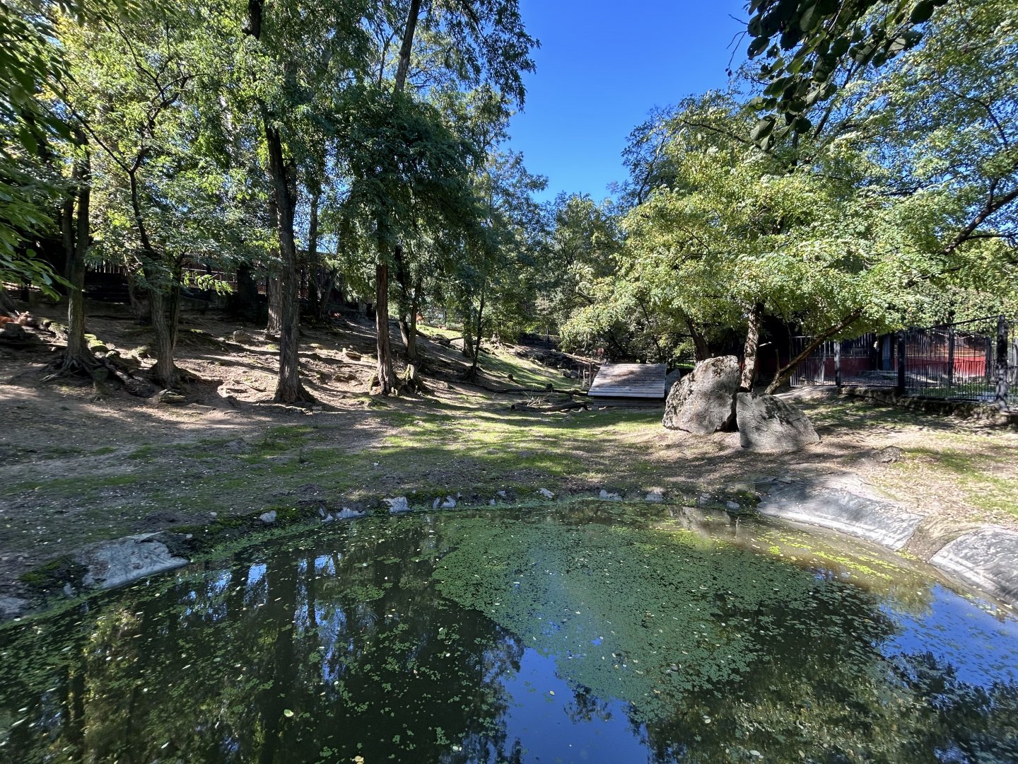 Sitatunga Exhibit