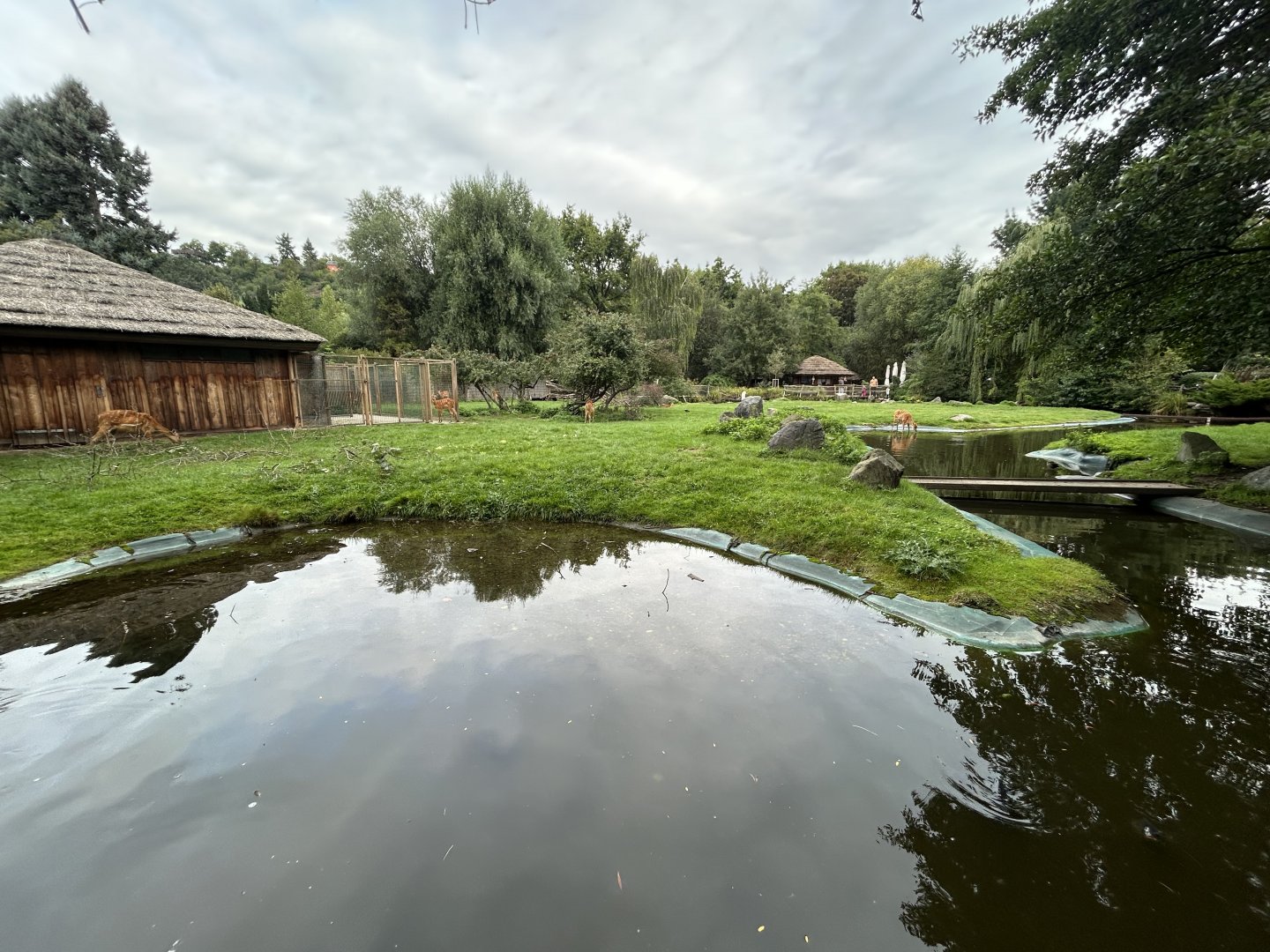 Sitatunga & Marabou Stork Exhibit