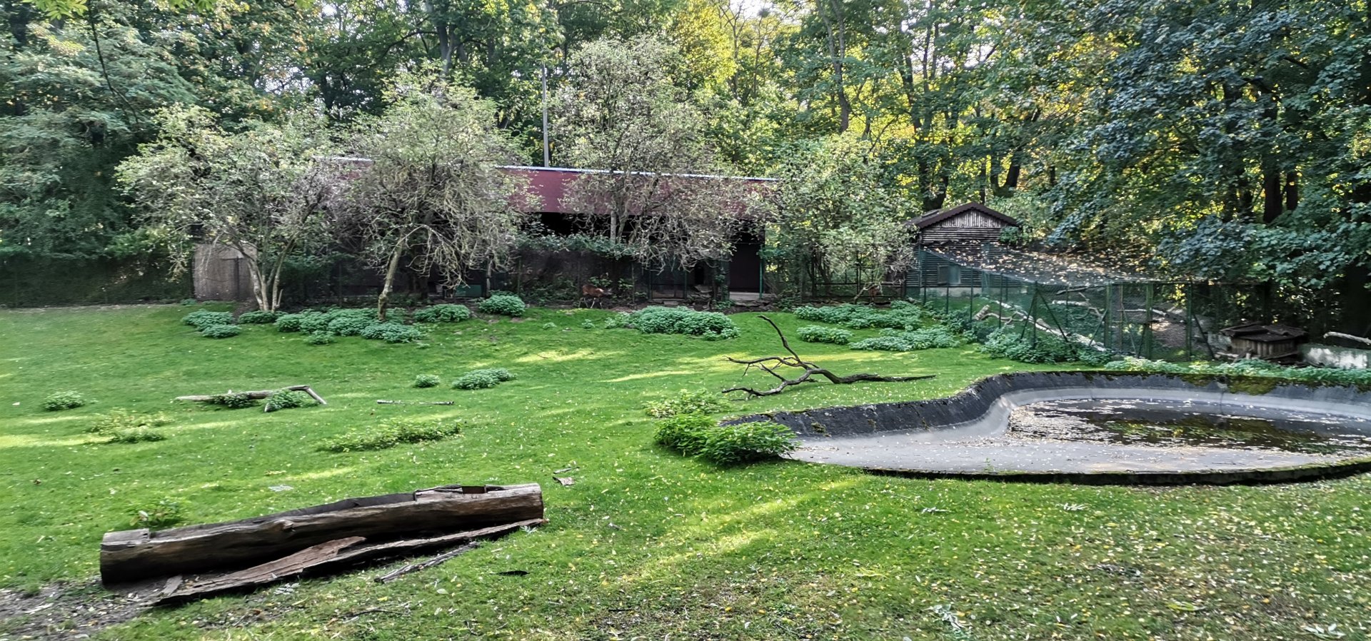 Sitatunga / Northern Ground Hornbill exhibit