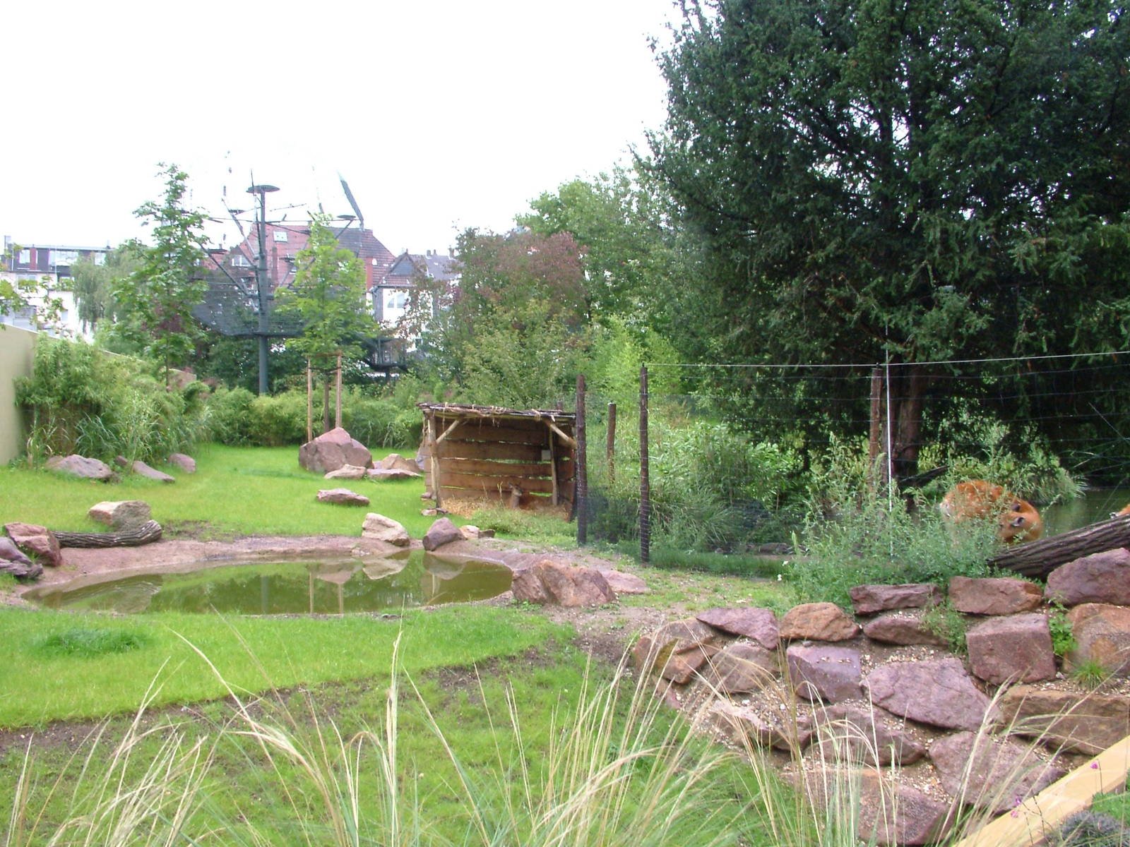 Sitatunga Paddock at Cologne, 07/09/10