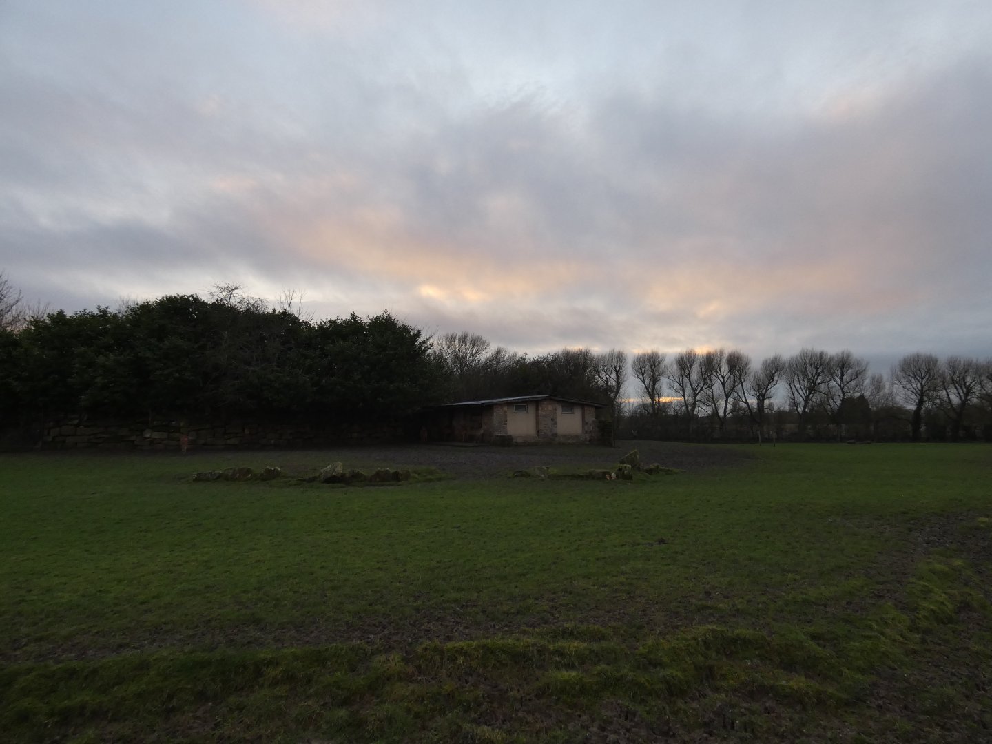 Sitatunga paddock at sunset