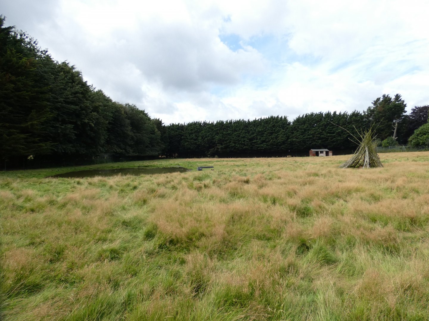 Sitatunga paddock