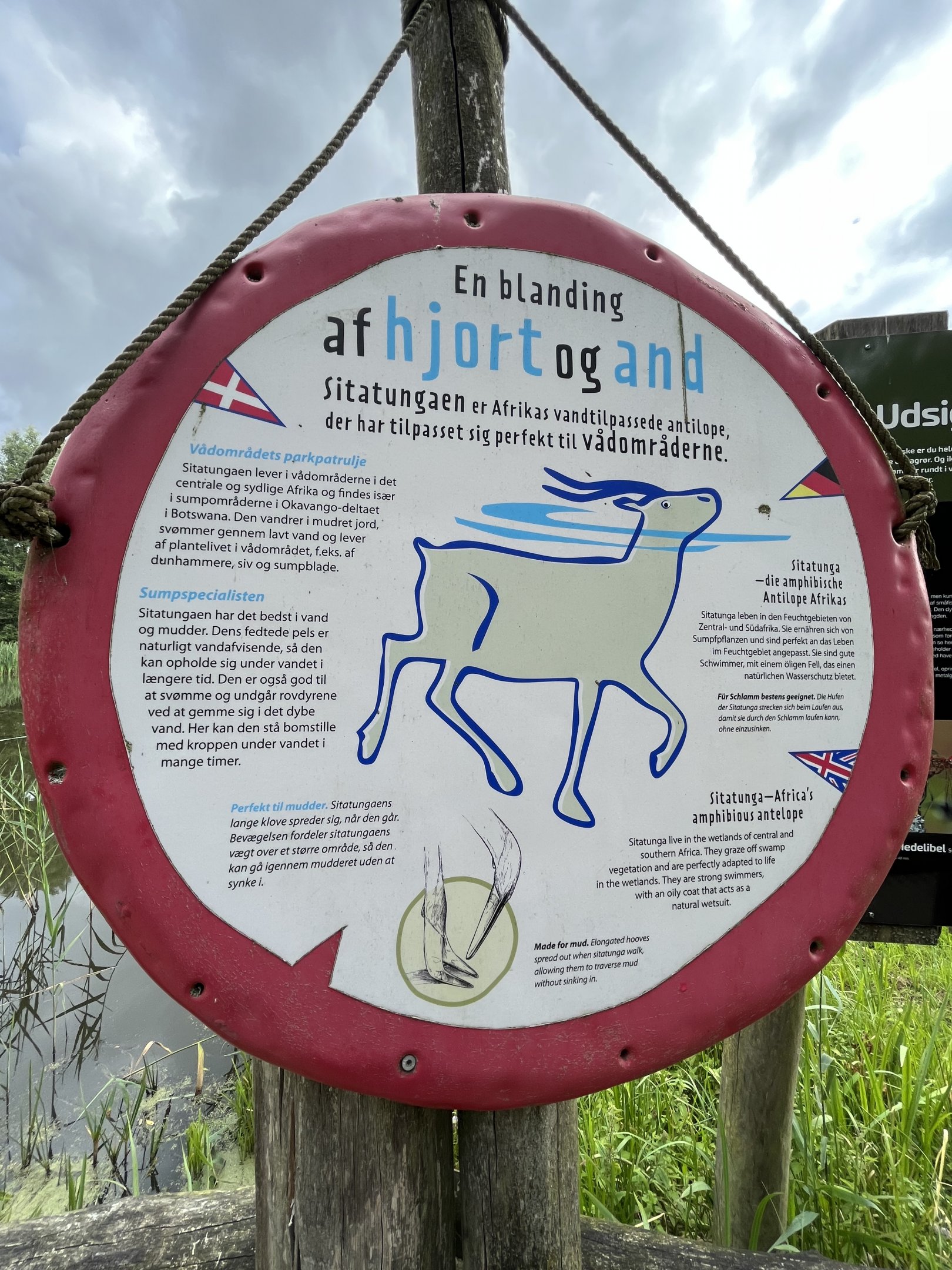 Sitatunga Sign