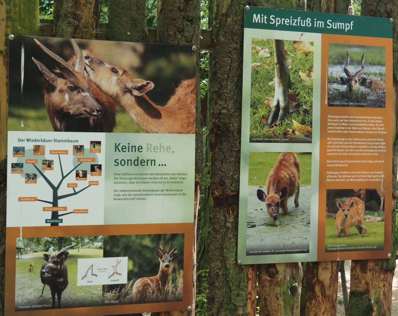 Sitatunga signage, 2025-05-22