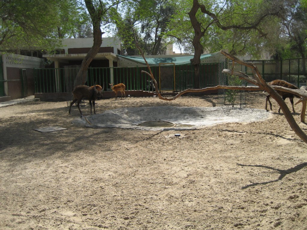 Sitatunga Yard