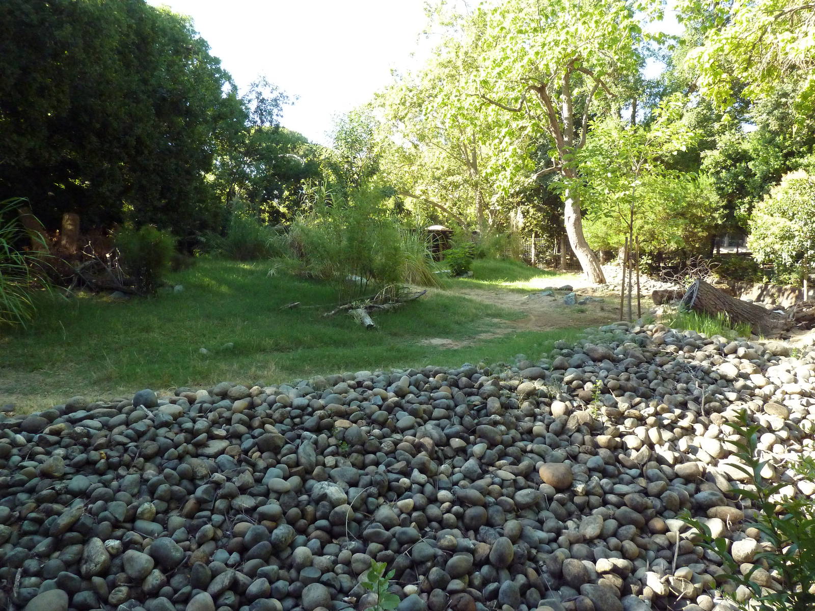 Sitatunga/Yellow-Backed Duiker Exhibit