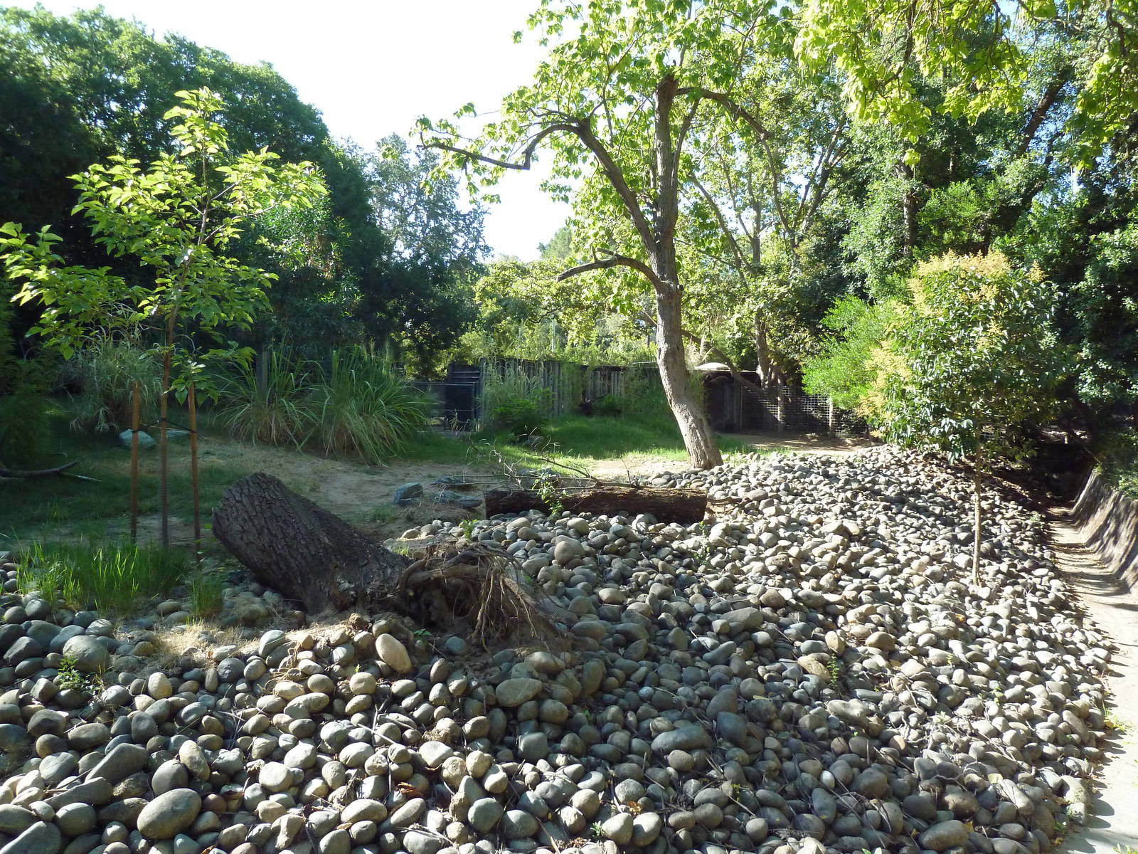 Sitatunga/Yellow-Backed Duiker Exhibit