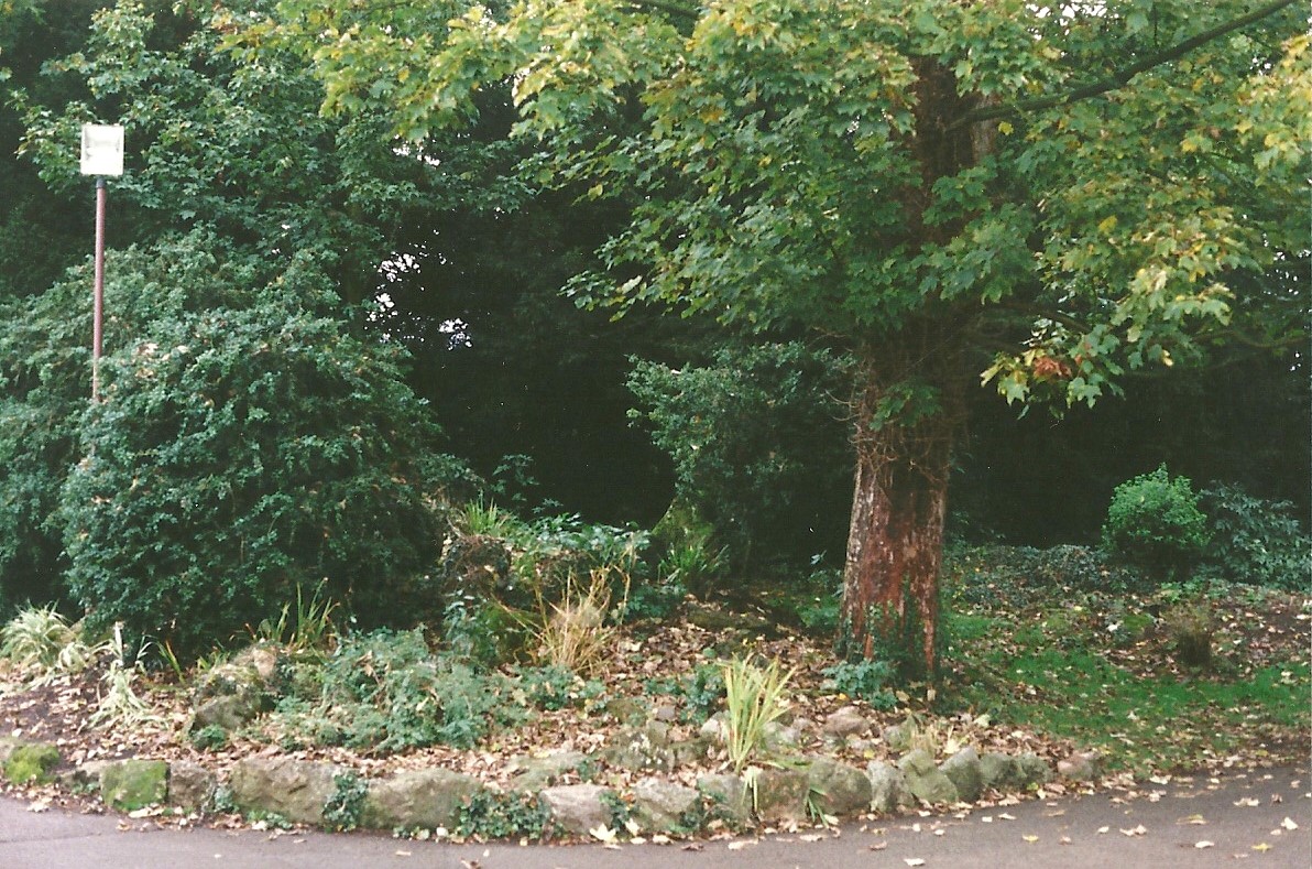 Site of Cat cages 23rd October 1999