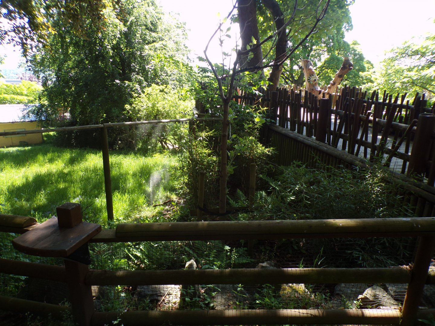 Site of Former crowned lemur cage 20.5.24