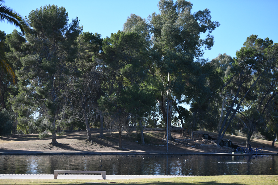 Site of future Asia expansion