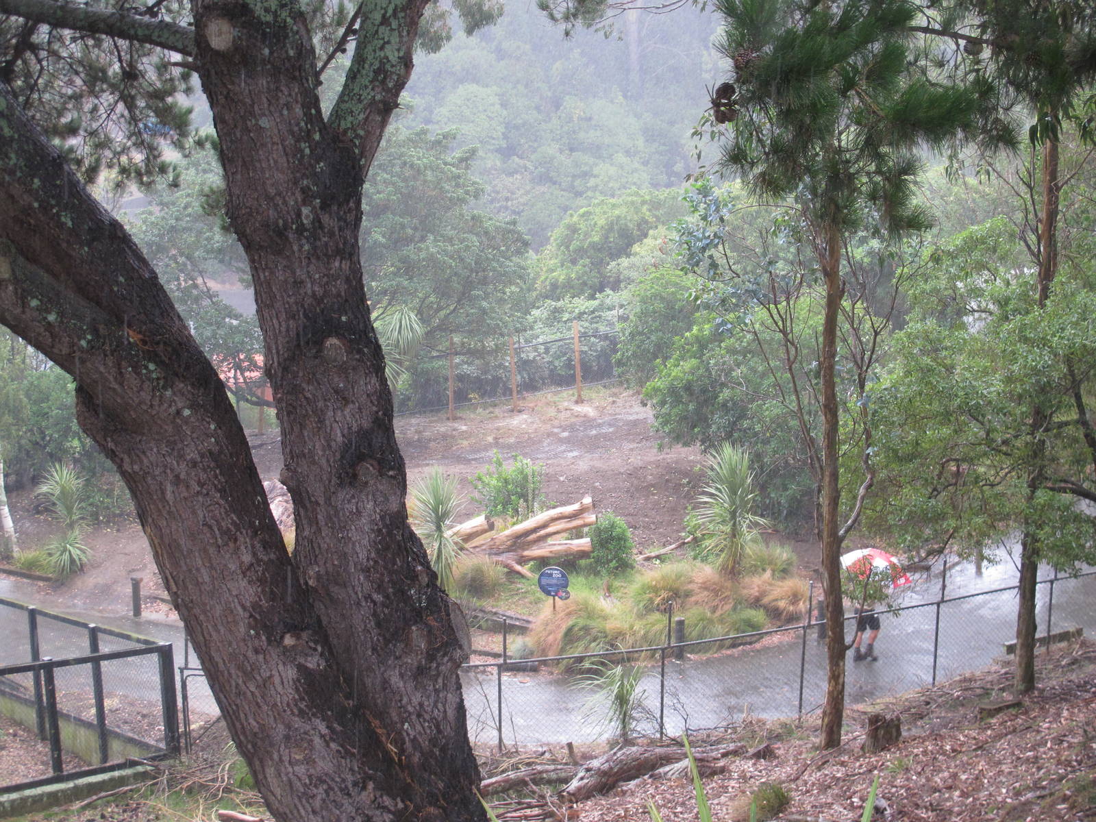 Site of future Australian Walkthrough - Wellington Zoo 2013