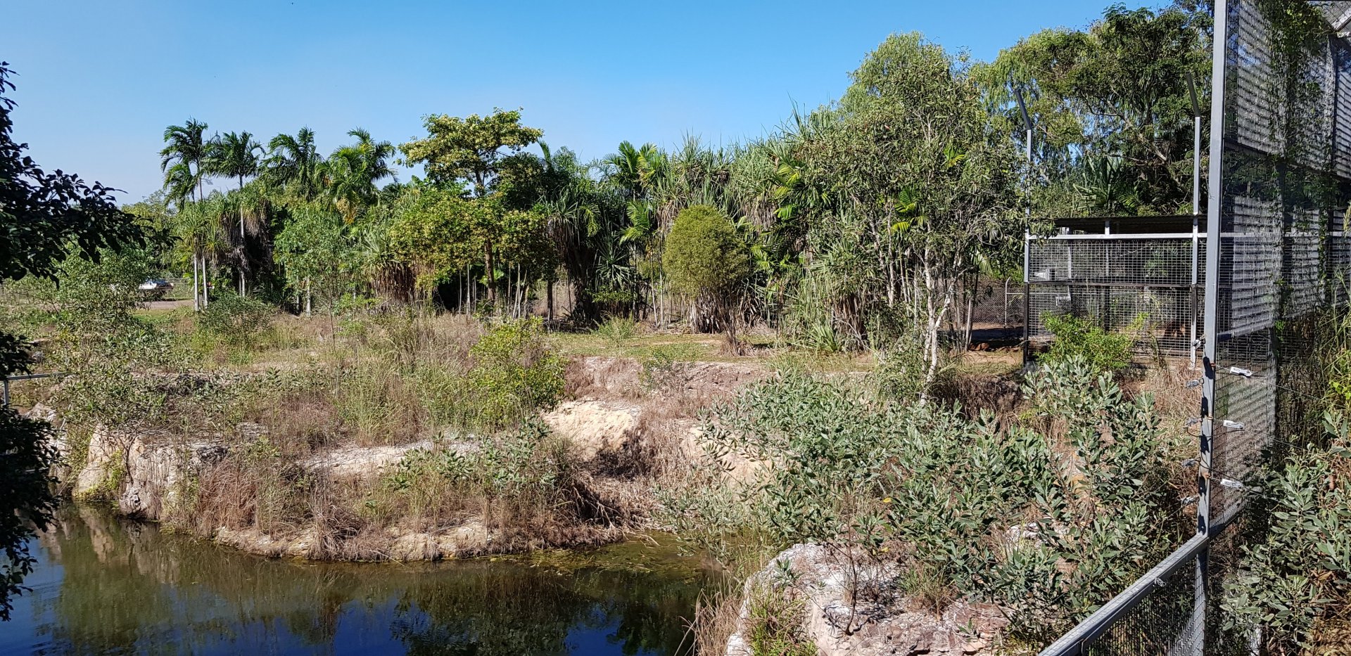 site of future lion enclosure