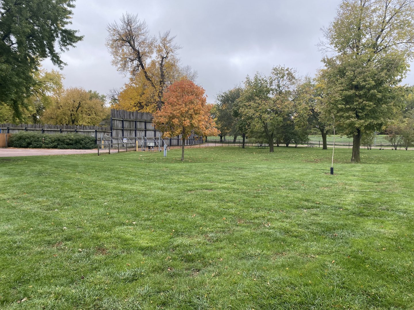 Site of Future Lion Exhibit