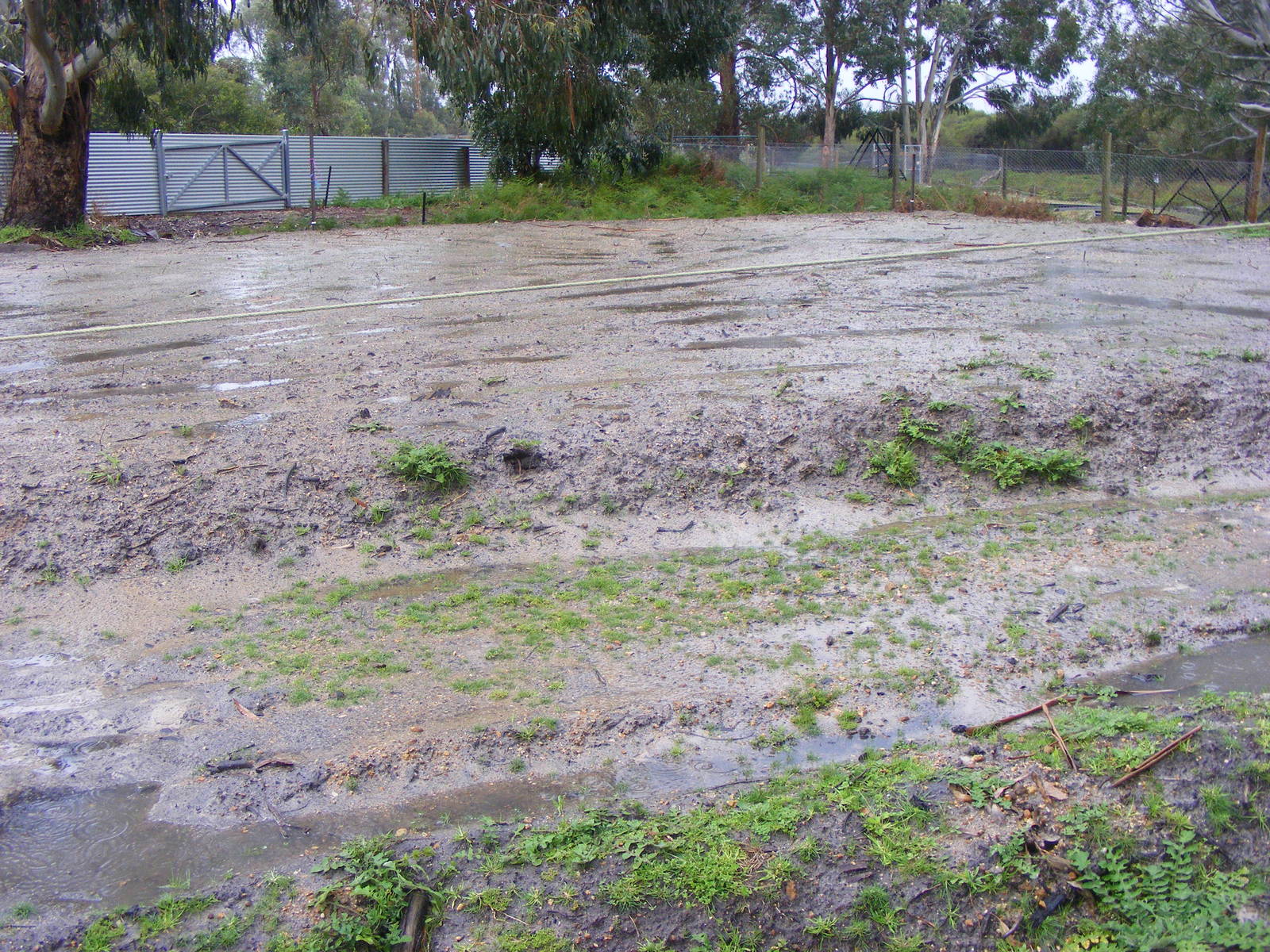 Site of Future Meerkat Enclosure - September, 2009