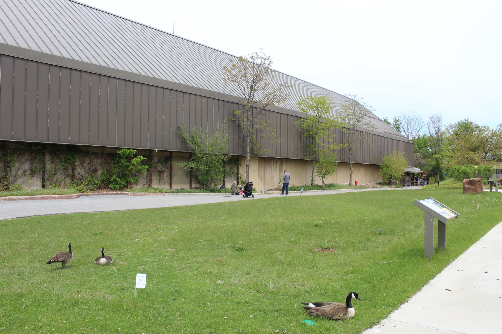 Site of Future Orangutan Exhibit?