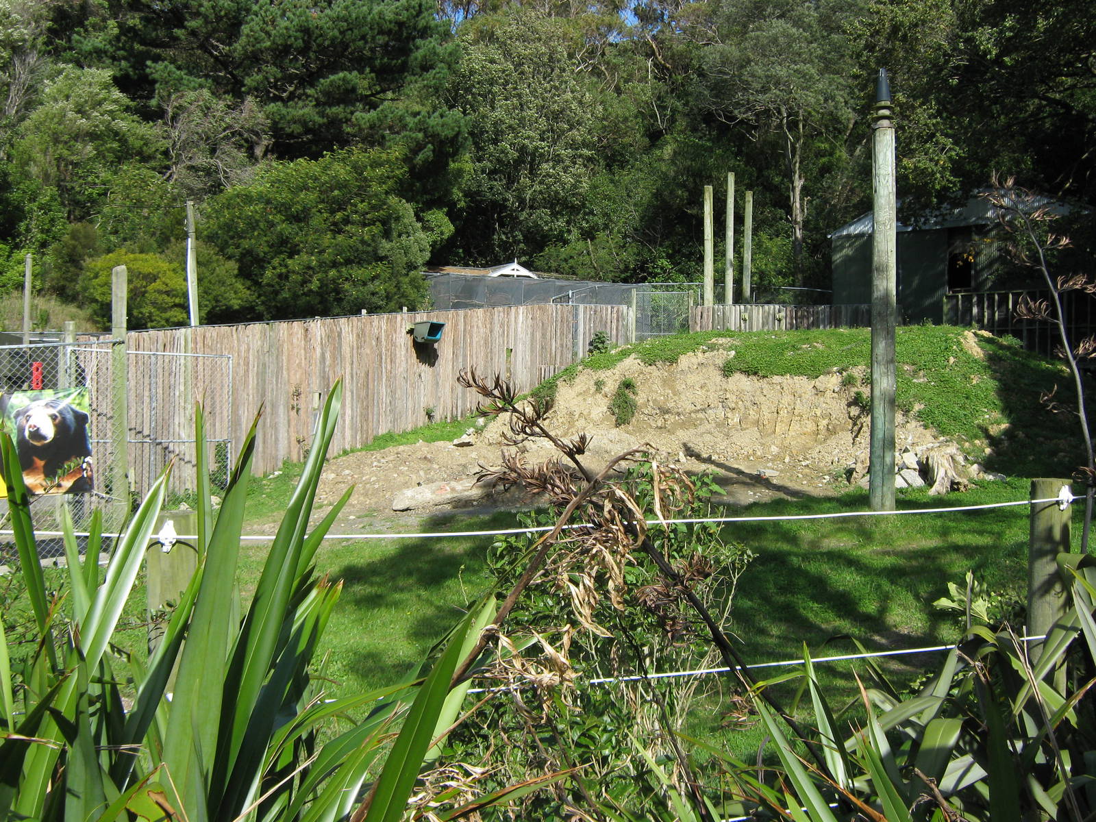 site of future sun bear enclosure