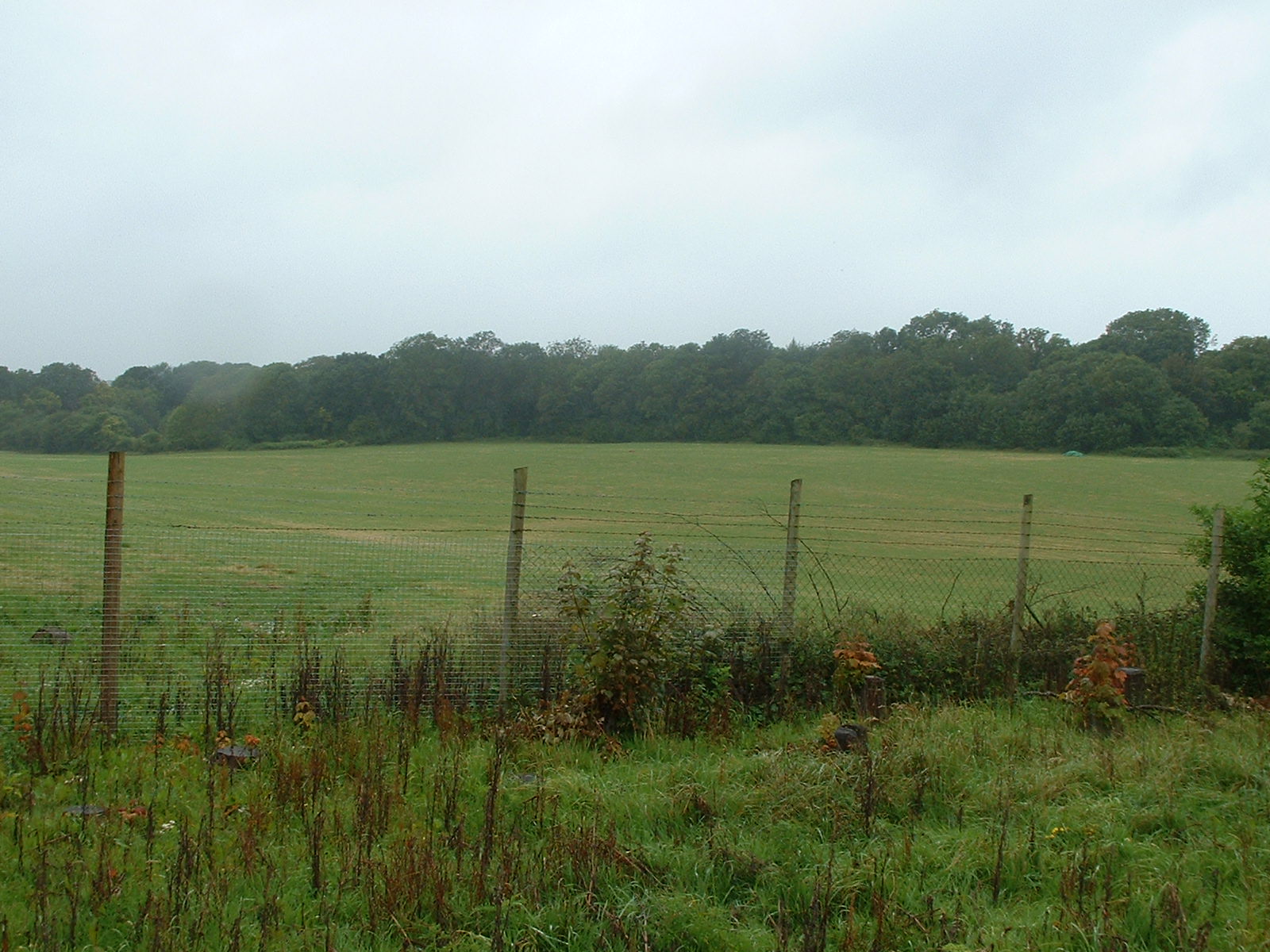 Site of new restaurant & 'African Waterhole' exhibit - Marwell 2007