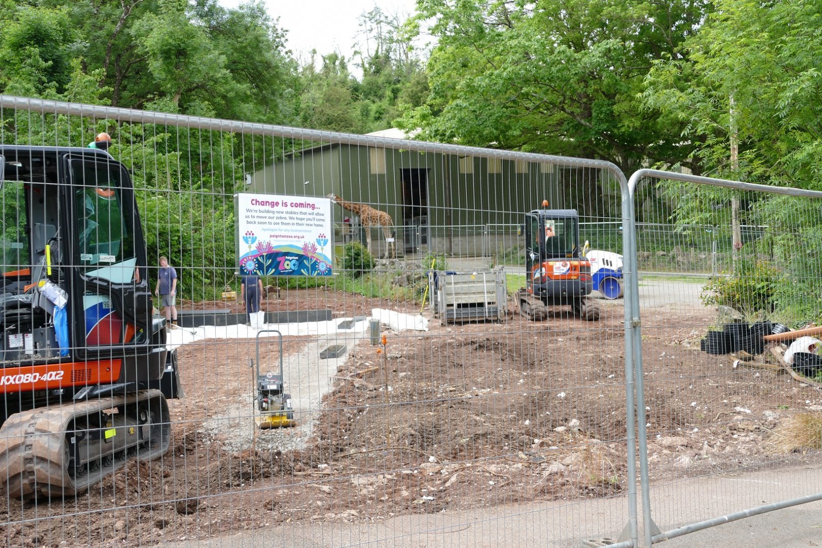 Site of new zebra stables, June 2022