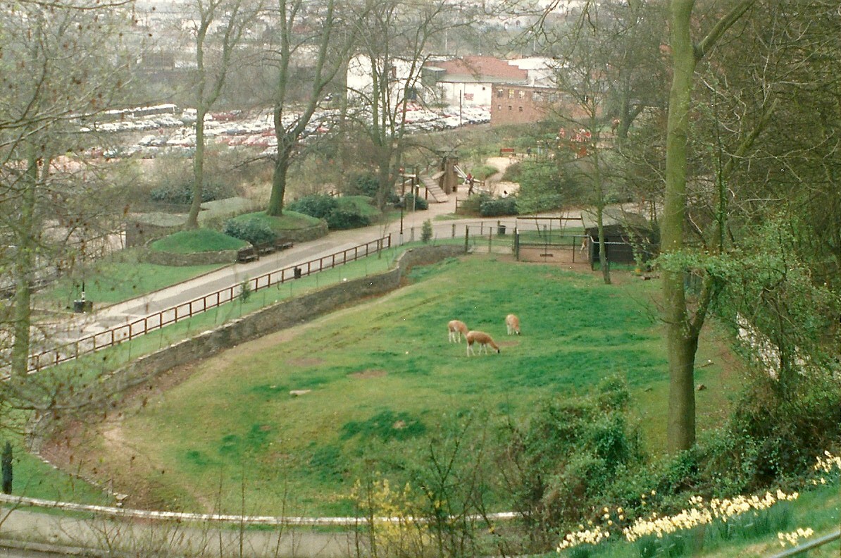 Site of old Bear Ravine 5th April 1997