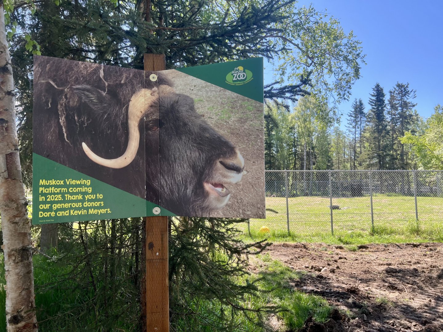 Site of soon to be viewing platform.