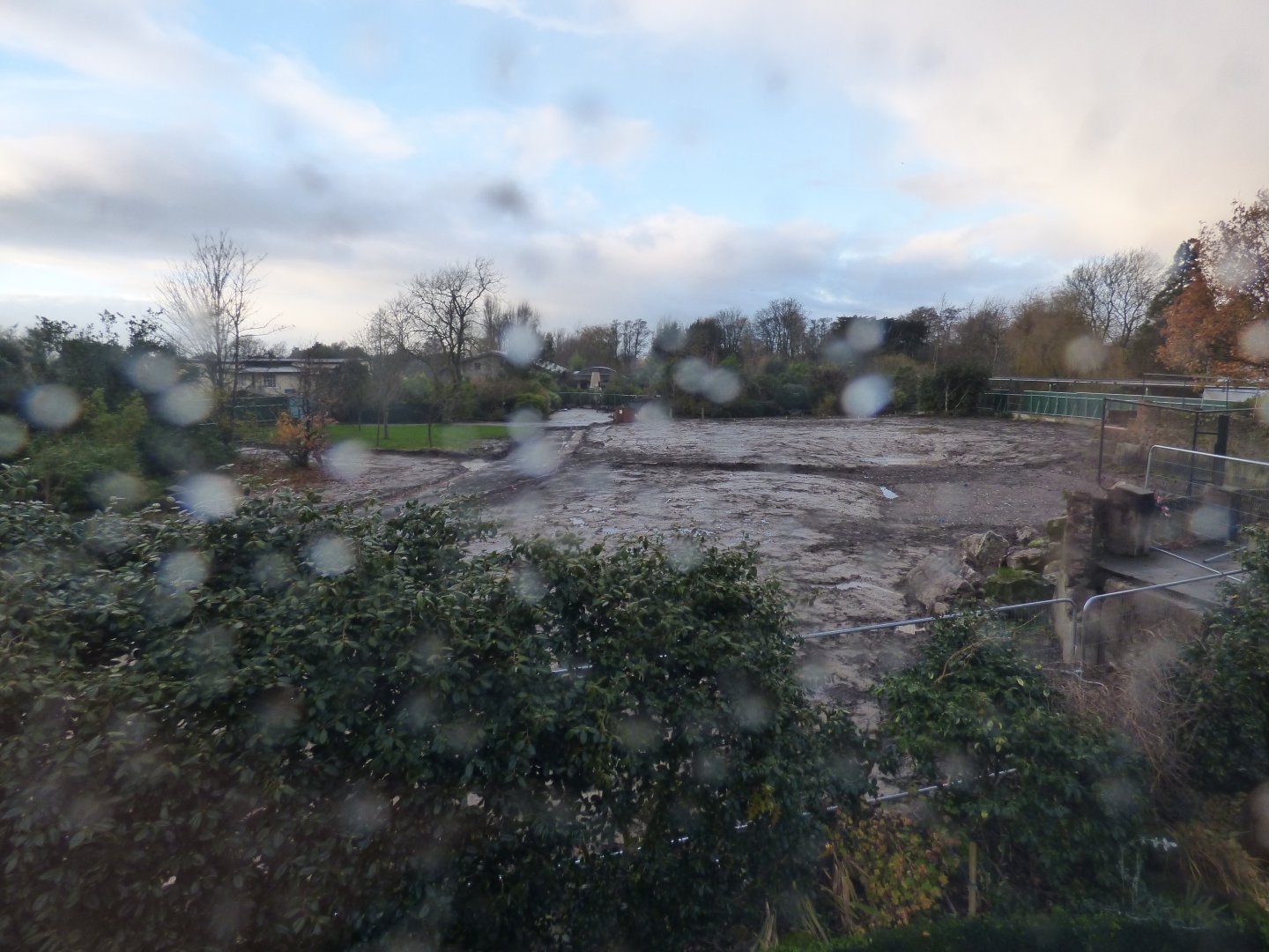 Site of the former Europe on Edge aviary (being turned into lemur enclosure)