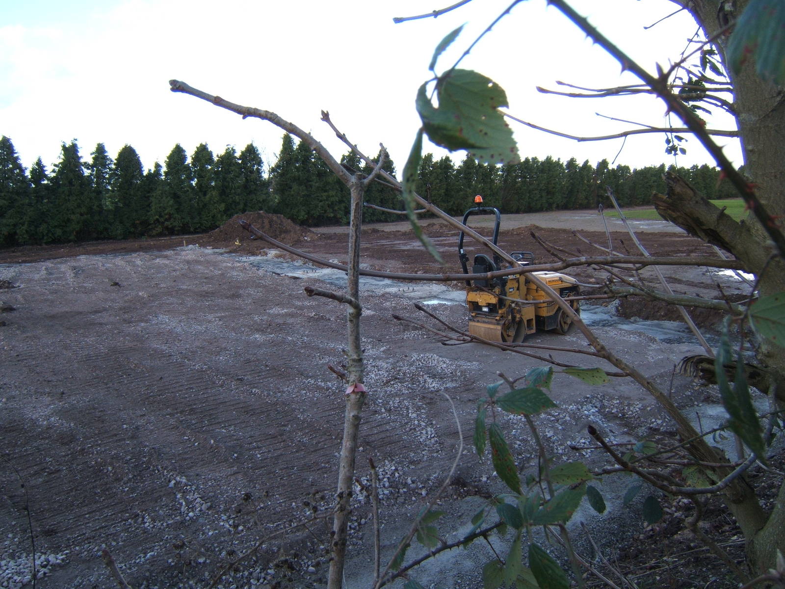 Site of the New Giraffe House