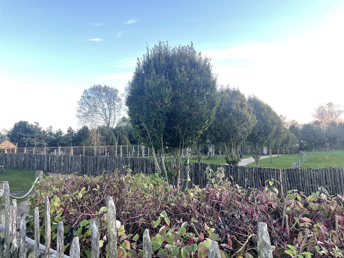 Site Of The New NSCC