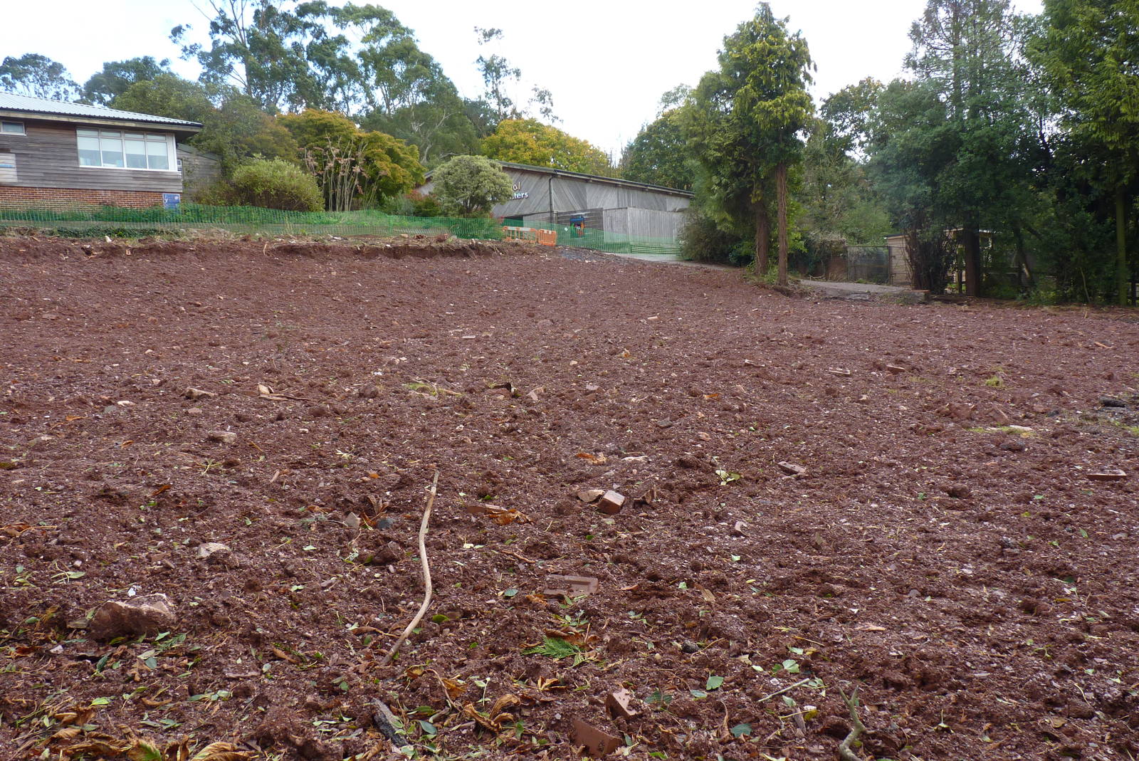 Site of the old Small Mammal House, 30 October 2013