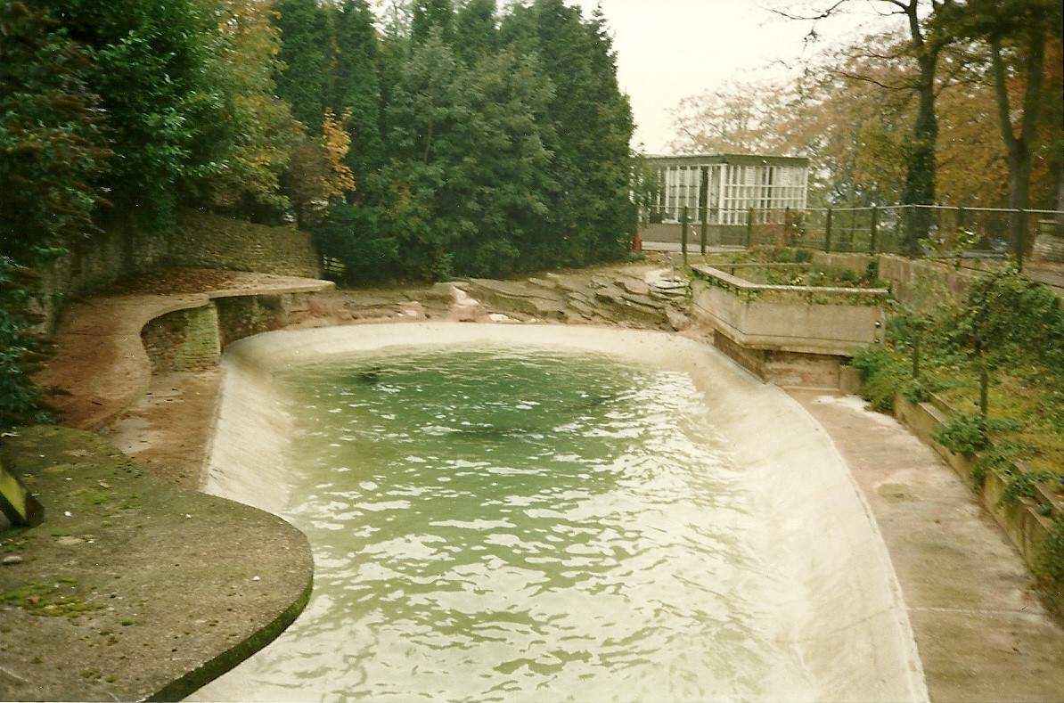 Site of where the Dolphins delighted 1st November 1997