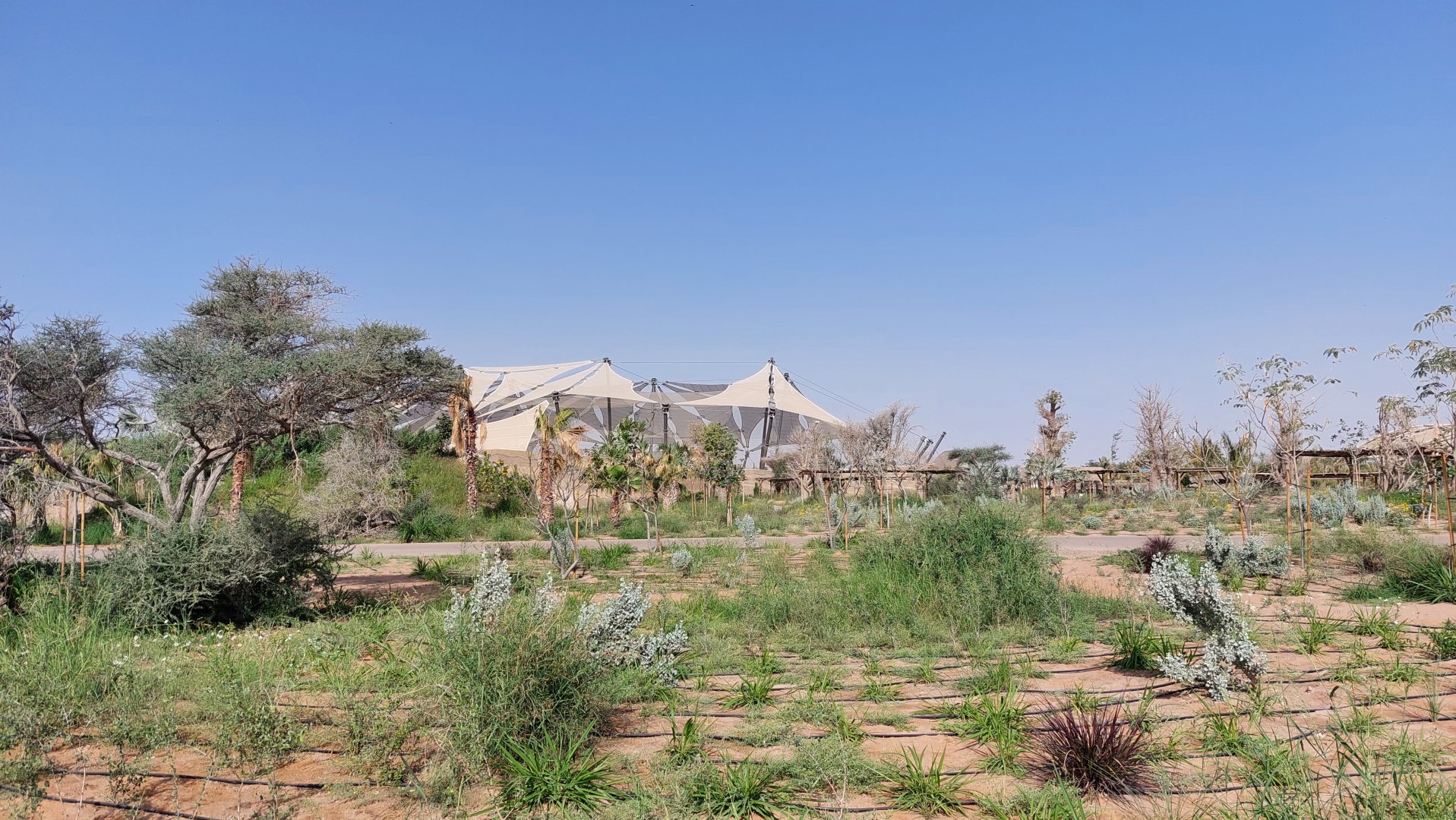 Site view and landscape view